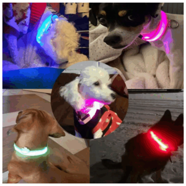 Collar Luminoso LED Recargable - Imagen 2