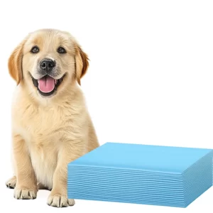 12 Pads Incontinencia Ultra Absorbente